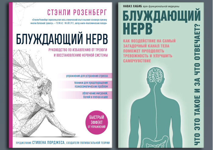 Блукаючий нервю С. Розенберг. + Блукаючий нерв. Що це таке та за що відповідає? Хабіб Н. (м'яка) (Комплект з 2х книг)