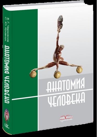 Черкасов В. Р. та ін Анатомія людини ( рос.мова.). Кравчук С. Ю. Черкасов В. Р. Черкасов В. Р. та ін Анатомія людини ( рос.мова.). Кравчук С. Ю. Черкасов В. Р.