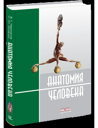Черкасов В. Р. та ін Анатомія людини ( рос.мова.). Кравчук С. Ю. Черкасов В. Р. Черкасов В. Р. та ін Анатомія людини ( рос.мова.). Кравчук С. Ю. Черкасов В. Р.