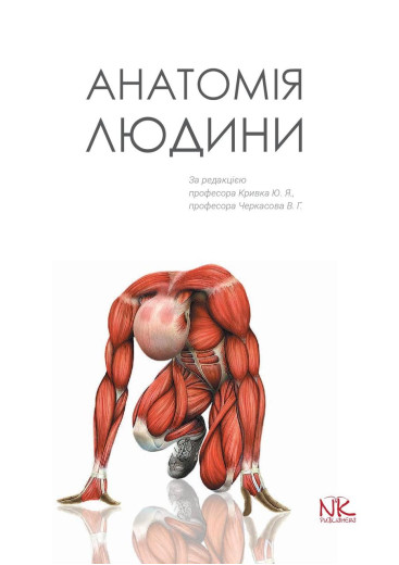 Анатомія людини. // Кривко Ю. Я., Черкасов В. Р., Кравчук С. Ю. та ін. Анатомія людини. // Кривко Ю. Я., Черкасов В. Р., Кравчук С. Ю. та ін.