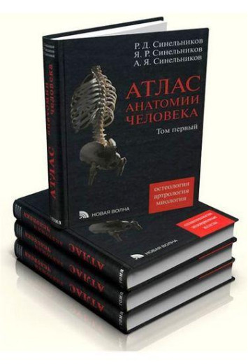 Атлас анатомії людини. Синельников у 4-х т.т. Р. Д. Синельников, Я. Р. Синельников, А. Я. Синельников. Д. Синельников, Я. Р. Синел Атлас анатомії людини. Синельников у 4-х т.т. Р. Д. Синельников, Я. Р. Синельников, А. Я. Синельников. Д. Синельников, Я. Р. Синел