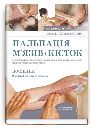 Пальпація м’язів і кісток з тригерними точками, патернами відображеного болю та технікою розтягування. Пальпація м’язів і кісток з тригерними точками, патернами відображеного болю та технікою розтягування.