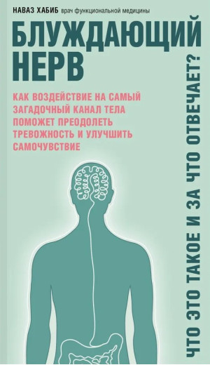 Блукаючий нерв. Що це таке та за що відповідає? Хабіб Н. Блукаючий нерв. Що це таке та за що відповідає? Хабіб Н.