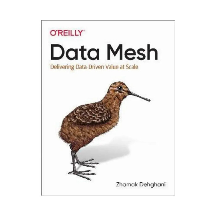 Data Mesh: Delivering Data-Driven Value at Scale. 1st Ed. Zhamak Dehghani (english)