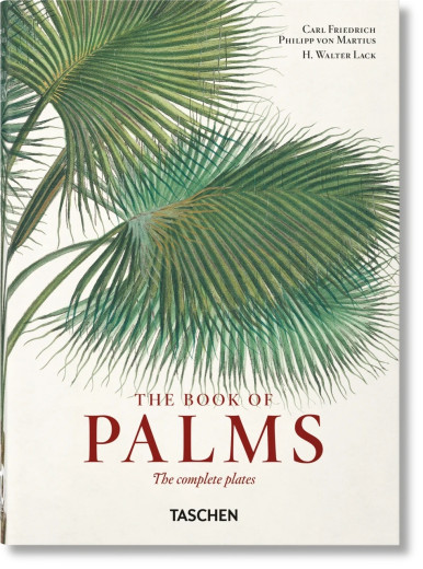 Martius. The Book of Palms. Taschen 40th Edition Series Martius. The Book of Palms. Taschen 40th Edition Series