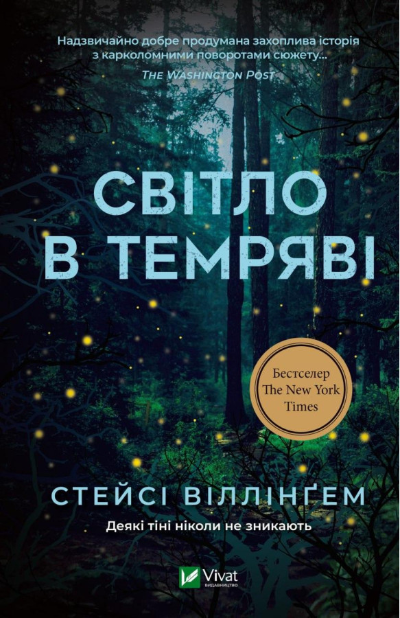 Світло в темряві. Стейсі Віллінгем (тв. паліт.)